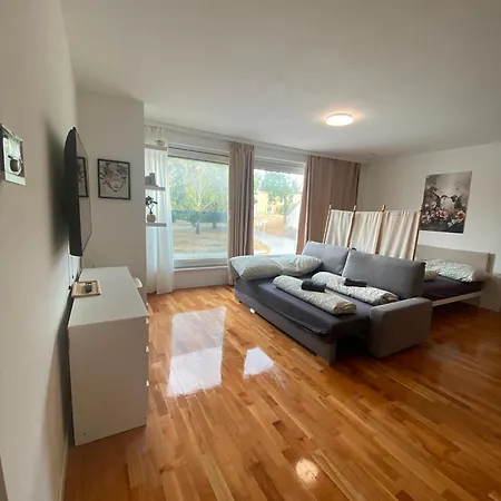 Modern Spacious With Free Parking Apartment *